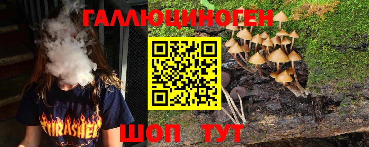 Галлюциногенные грибы Magic Shrooms  Вход с VPN  Псилоцибиновые грибы GOLDEN TEACHER  Калининград 